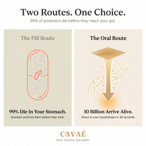 CAVAÉ FLOW