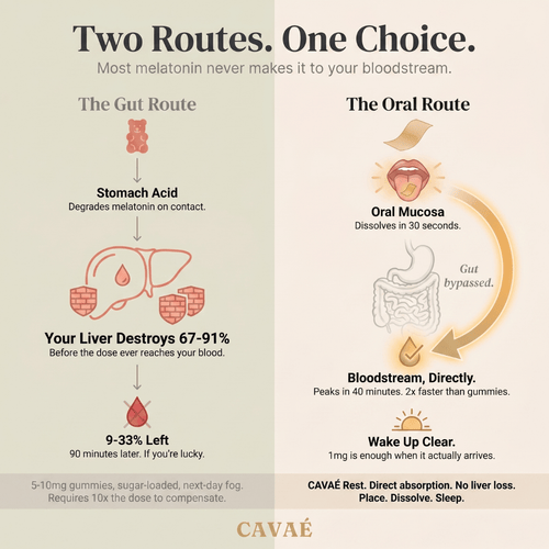 CAVAÉ REST